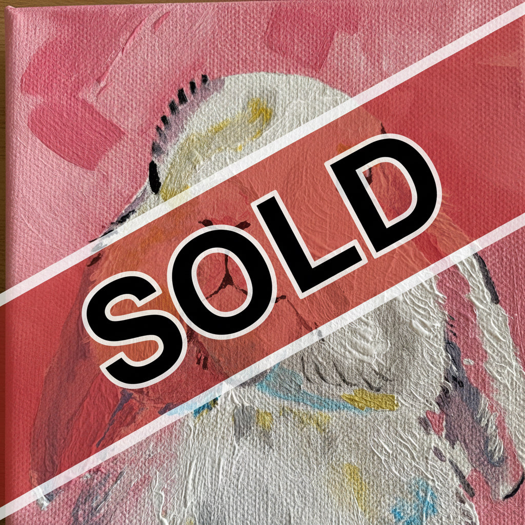 J. Cortes - Whiskers