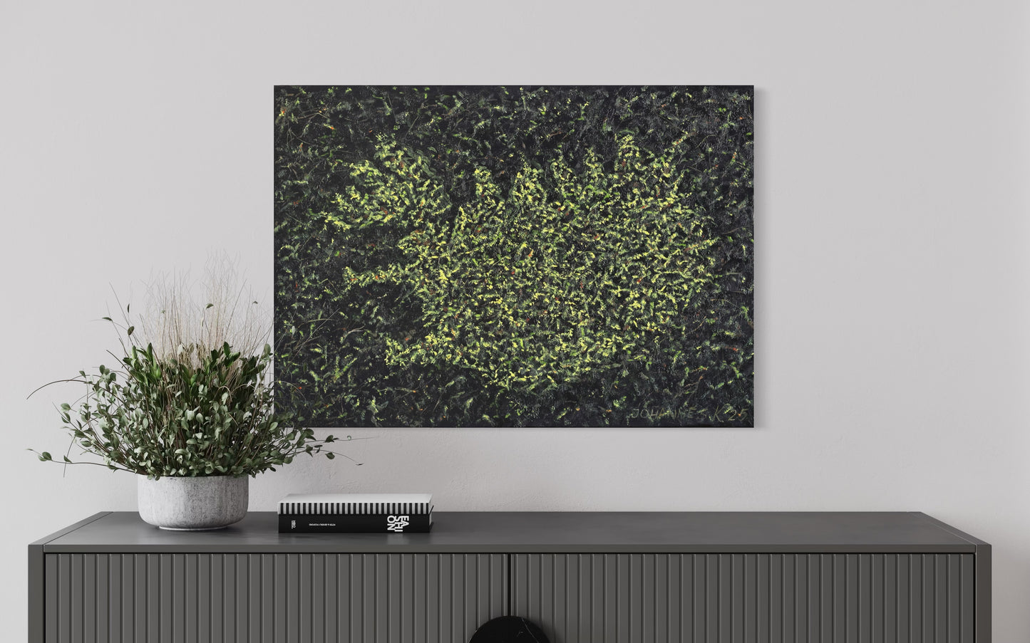 Jóhannes K. Kristjánsson - íslensk náttúra