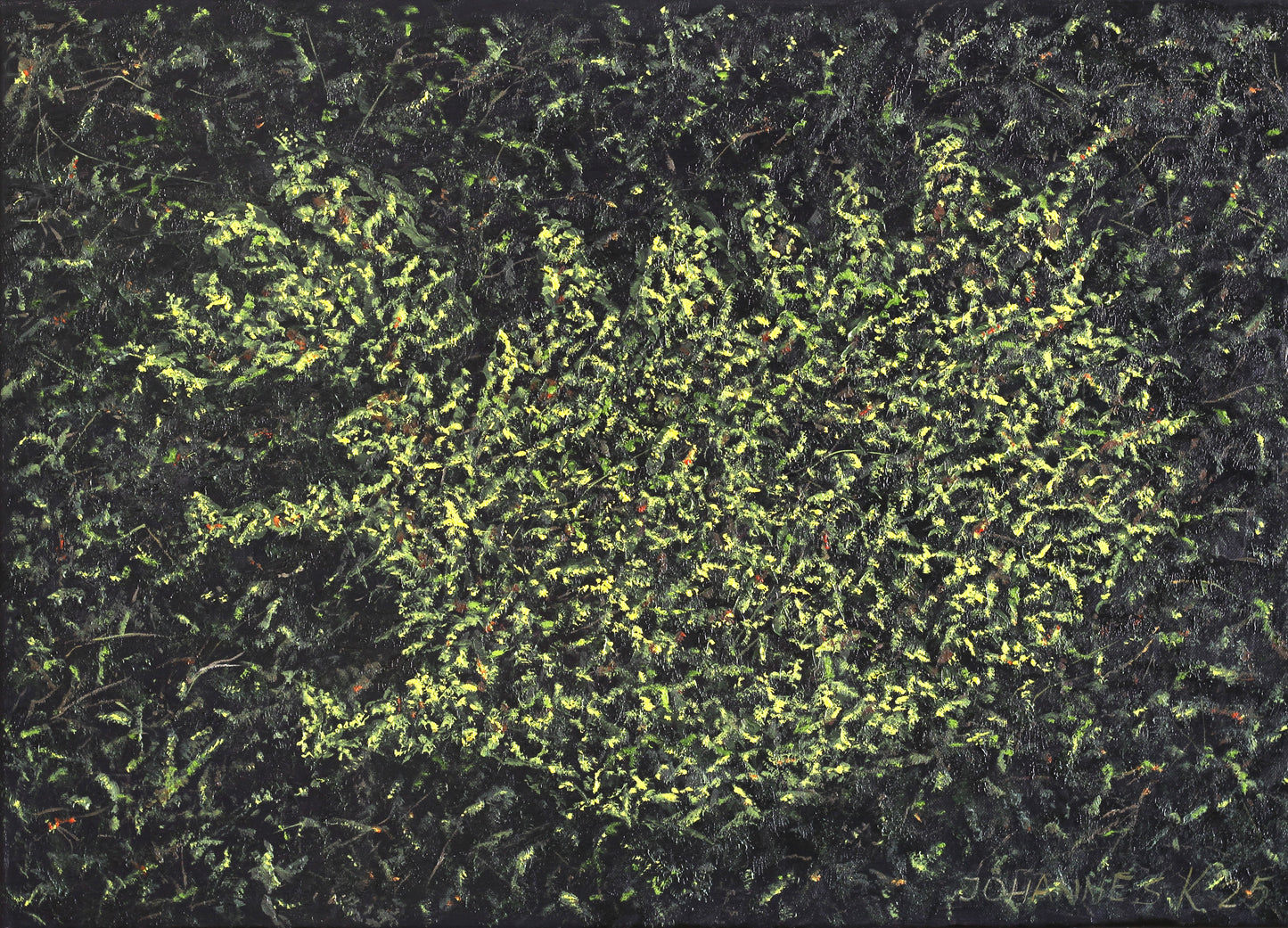 Jóhannes K. Kristjánsson - íslensk náttúra