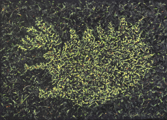 Jóhannes K. Kristjánsson - íslensk náttúra